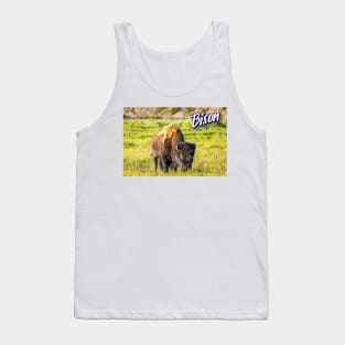 Bison at Yellowstone Tank Top